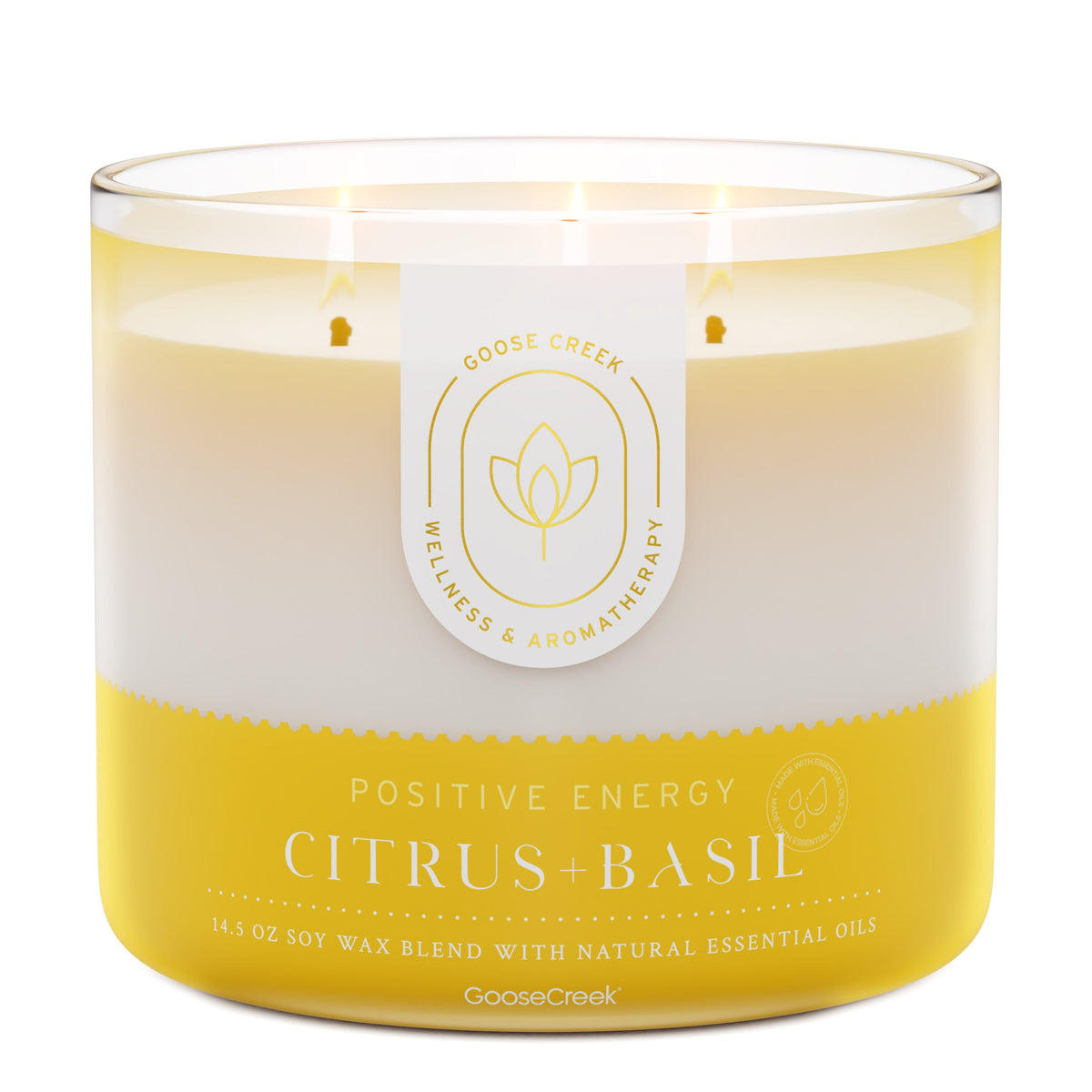 Citrus-Basil-Aromatherapy-Large-3-Wick-Candle_32eca6ff