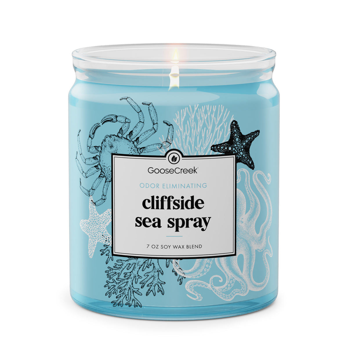 Cliffside-Sea-Spray-Odor-Eliminating-7oz-Single-Wick-Candle