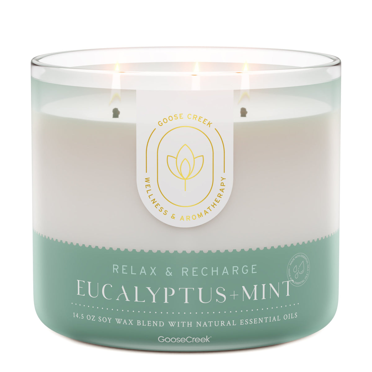 Eucalyptus-Mint-Aromatherapy-3-Wick-Candle_64a18925