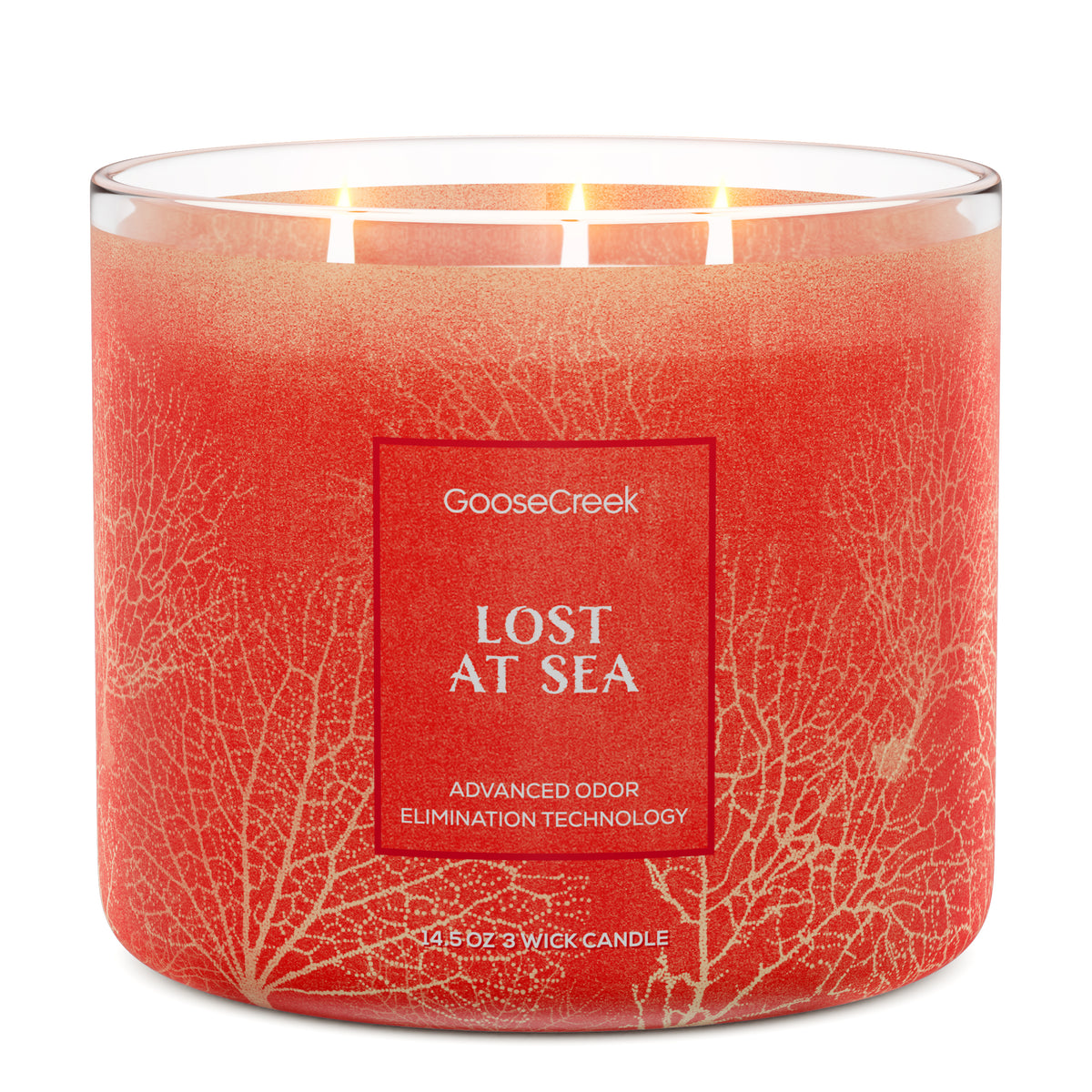 Lost-at-Sea-Odor-Eliminating-3-Wick-Candle_266e8c41
