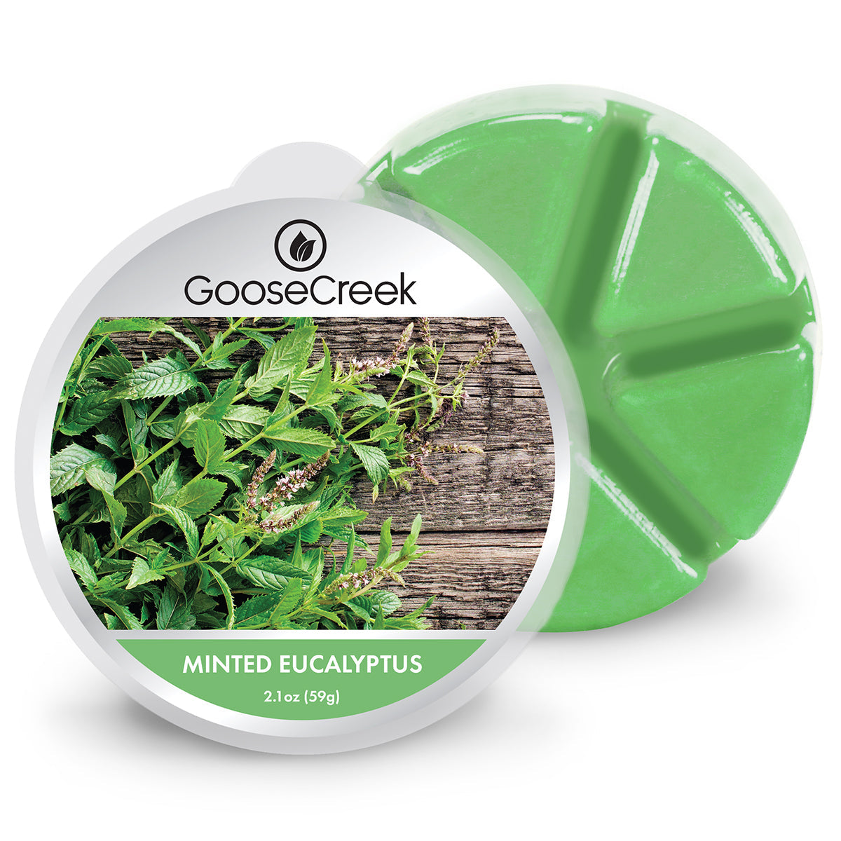 Minted-Eucalyptus-Wax-Melt_f4d660af