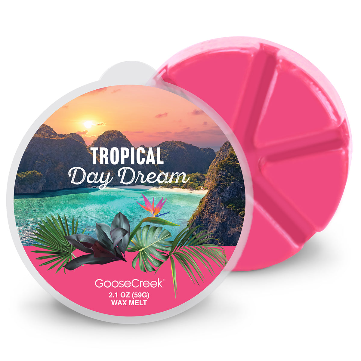 Tropical-Daydream-Wax-Melt_4626bb0b